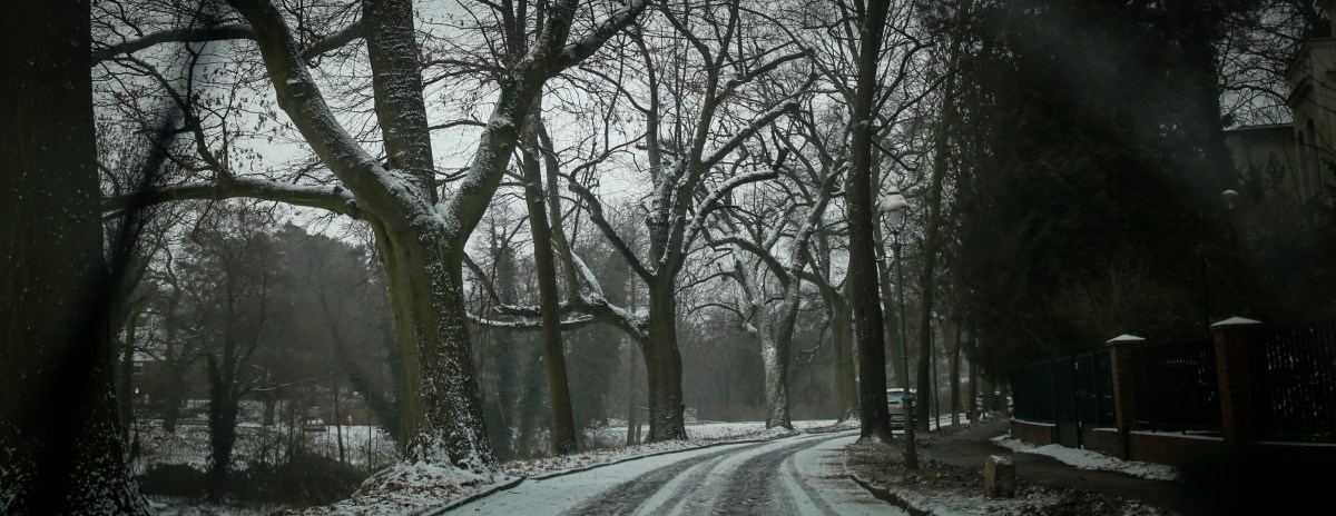 46949836641_55b39a54dc_o(1)