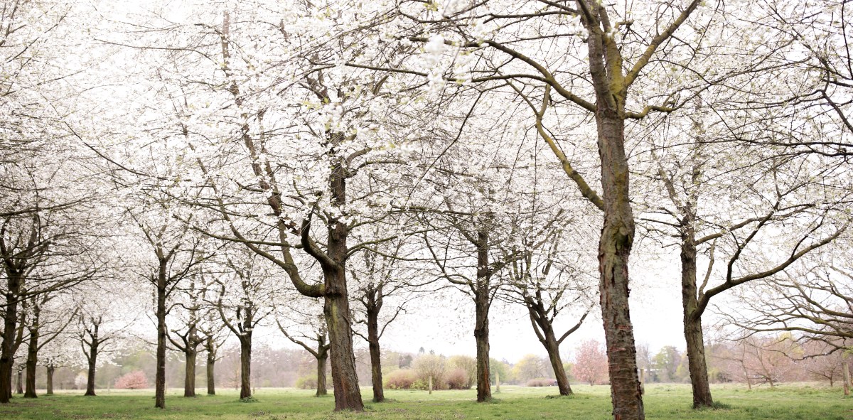 Vanessa_Nils_April_2019_141