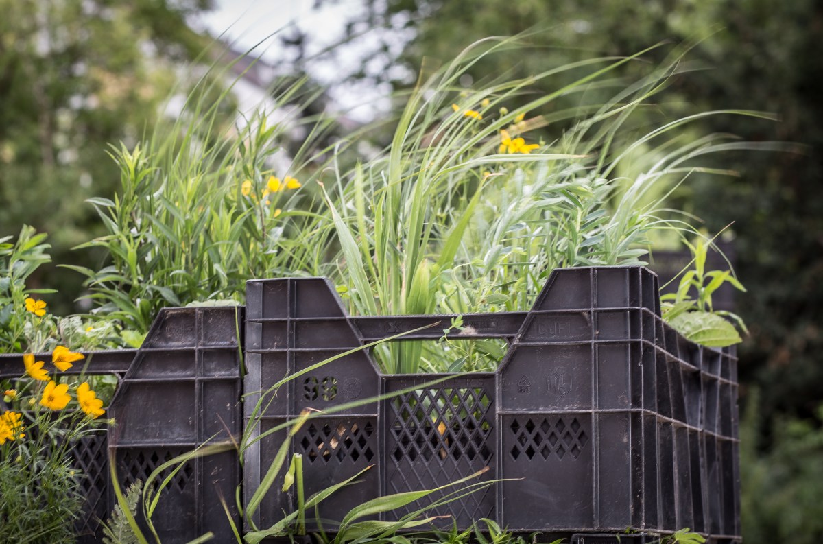 2019_07_09_Floeter_Tempelh006 als Smartobjekt-1 kopieren